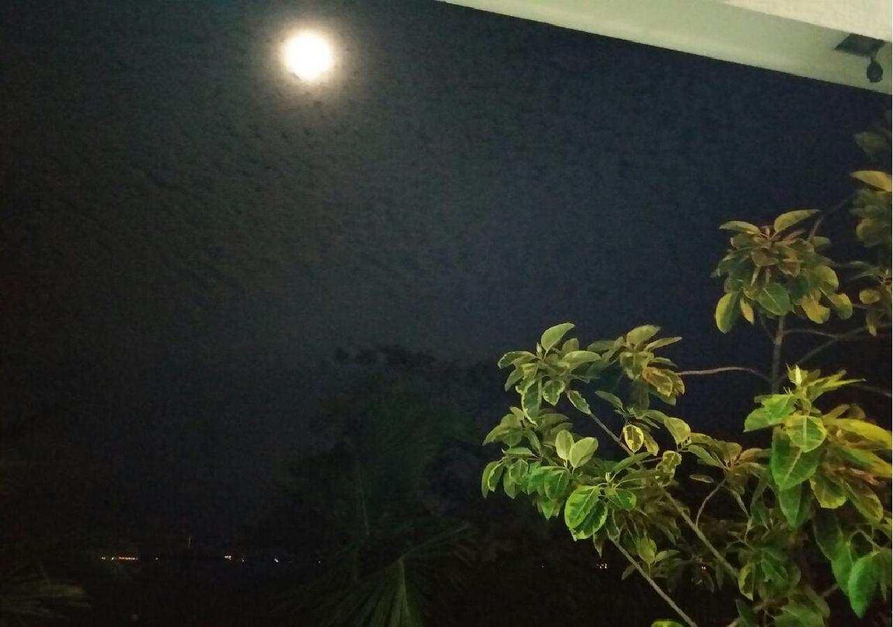 Negombo Holiday Home Εξωτερικό φωτογραφία